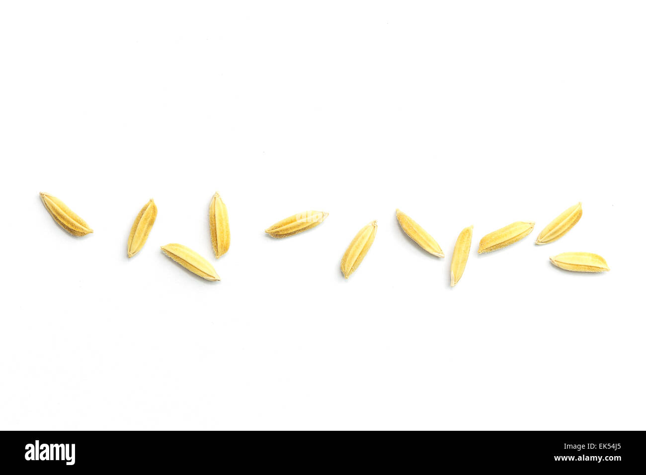 Giallo risone in riso al gelsomino isolati su sfondo bianco Foto Stock