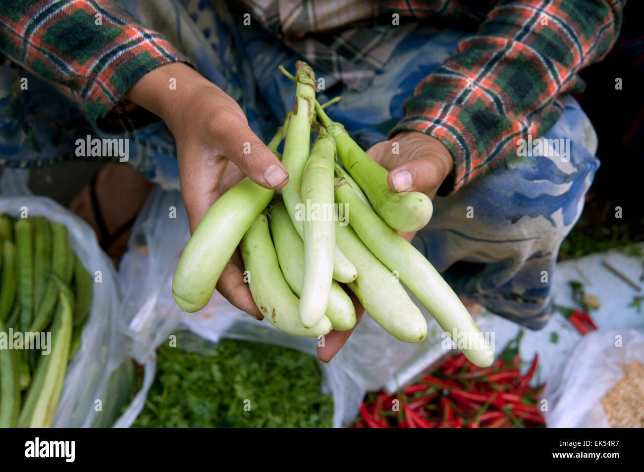 Due mani tenendo le verdure fresche in un mercato ortofrutticolo Yangon Myanmar Foto Stock