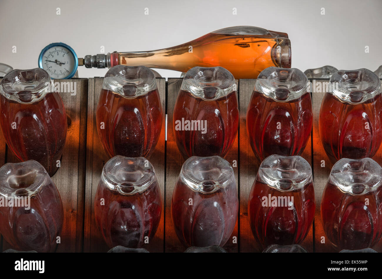 L'Italia, sicilia, bottiglie di champagne affinamento in cantina Foto Stock