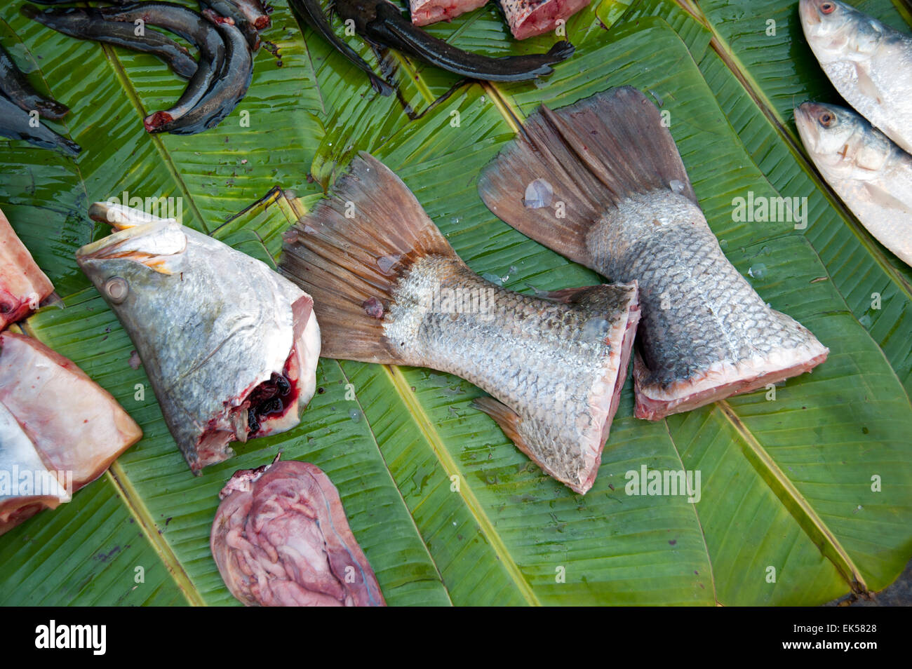 In prossimità della testa di pesce, code di pesce e i visceri di pesce su una verde foglia di banano in Yangon mercato alimentare di Myanmar Foto Stock