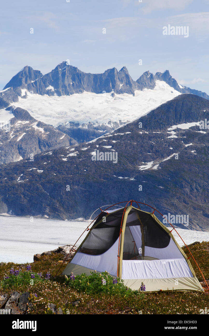 Camping sul Monte passeggino bianco sopra la Mendenhall Glacier, Tongass National Forest, Alaska. Foto Stock