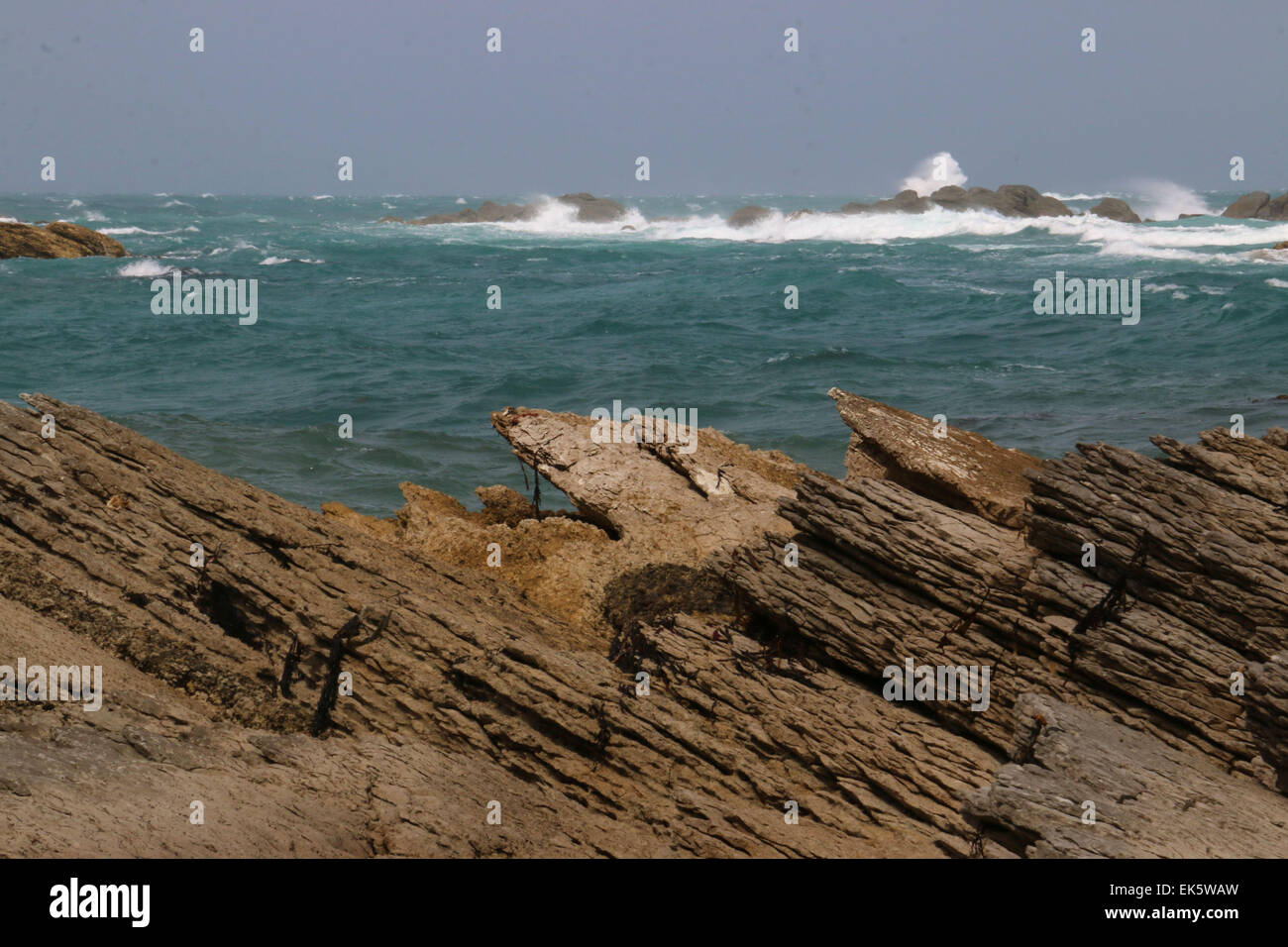 Roccia calcarea strati di Kaikoura Peninsula Isola del Sud della Nuova Zelanda Foto Stock