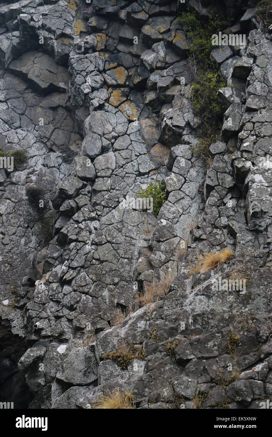 Basalto colonnare le piramidi di Lava formazioni di roccia Penisola di Otago Dunedin Isola del Sud della Nuova Zelanda Foto Stock