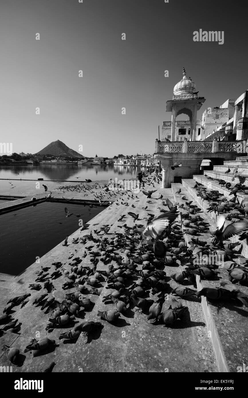 India Rajasthan, Pushkar, vista sulla città e il lago sacro Foto Stock