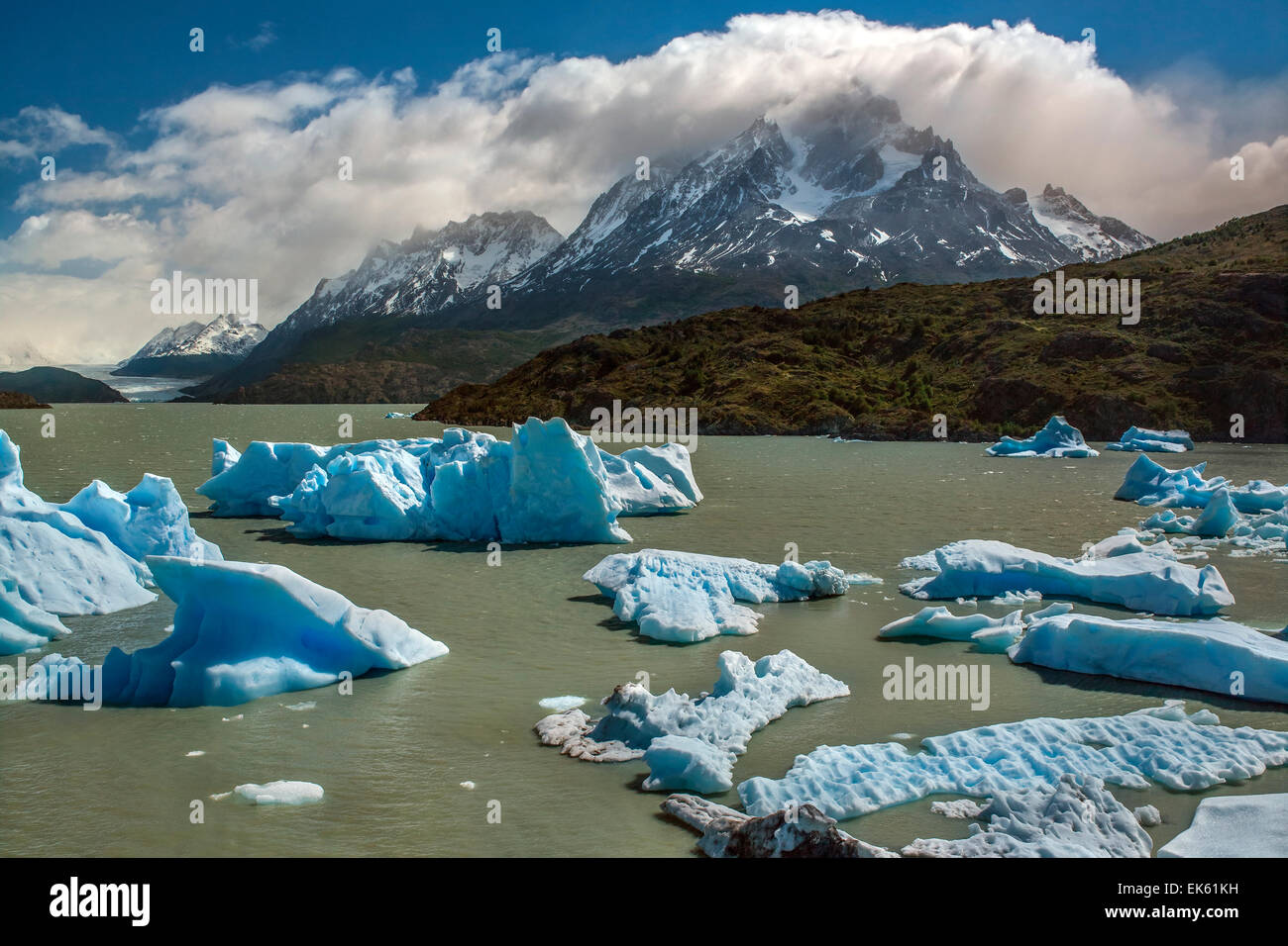 Iceberg dal ghiacciaio Grey (in lontananza) in grigio lago nella Patagonia meridionale del campo di ghiaccio a Torres del Paine compit Foto Stock