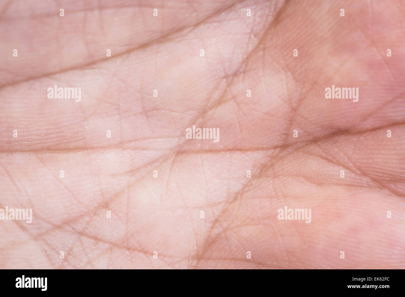 Macro mano la texture della pelle Foto Stock