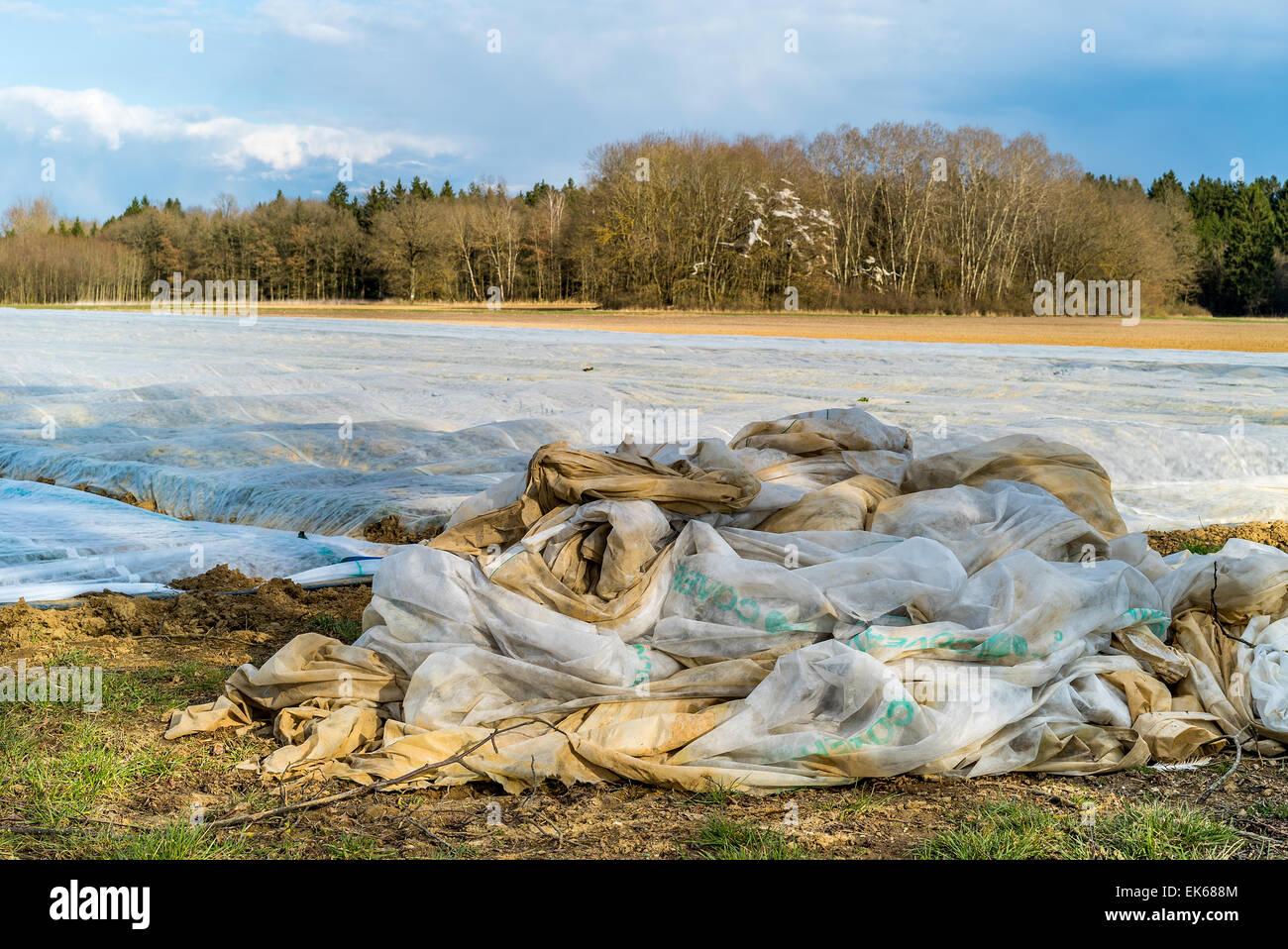 Immondizia di plastica perennemente nel nostro ambiente, tossico, micro plastica, scatola in plastica, agricoltore, inquinamento, agricoltura, allevamento, lamina u Foto Stock