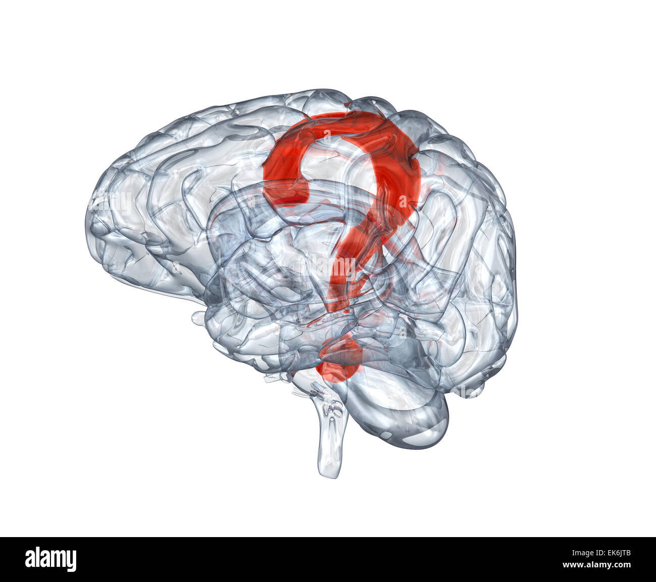 Vetro del cervello umano con un punto interrogativo all'interno Foto Stock