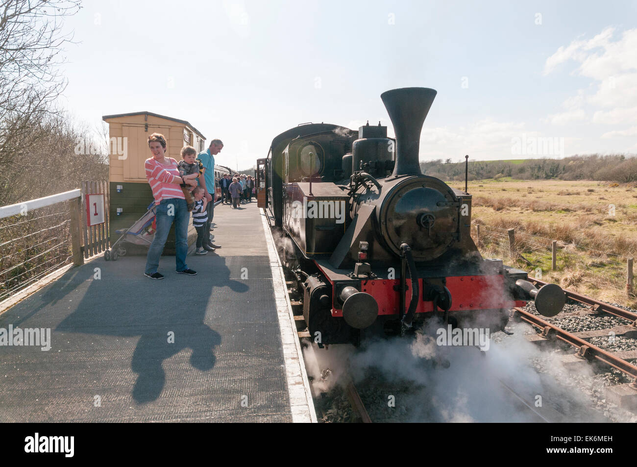 Treno a vapore a Downpatrick Railway Preservation Society Foto Stock Treno a vapore a Downpatrick Railway Preservation Society Foto Stock