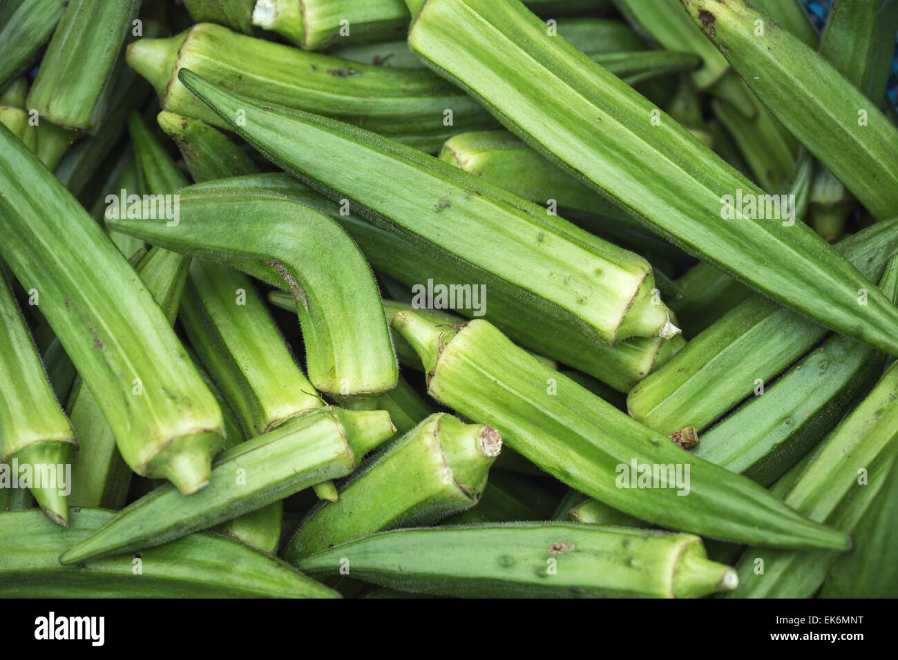 Pila di zucchine nel mercato tailandese Foto Stock