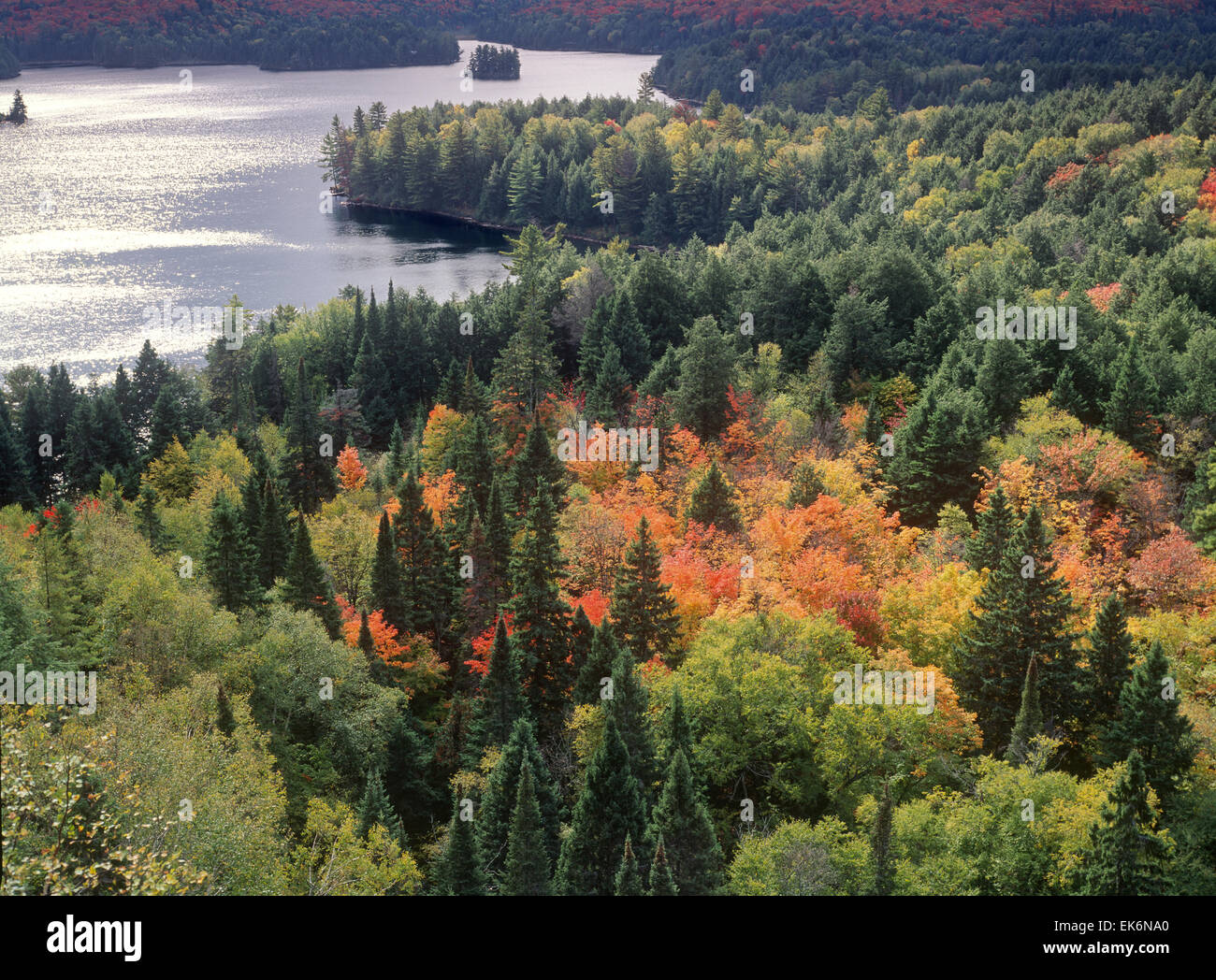 Il lago con i colori autunnali in Canada Ontario, Algonquin Provincial Park Foto Stock