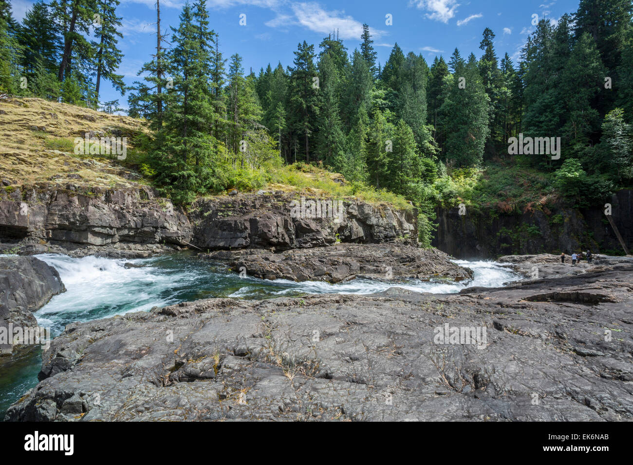 America del nord, Canada, British Columbia, l'isola di Vancouver, Elk Falls Provincial Park, Campbell River Foto Stock