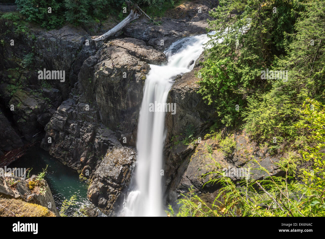 America del nord, Canada, British Columbia, l'isola di Vancouver, Elk Falls Provincial Park, Elk Falls Foto Stock