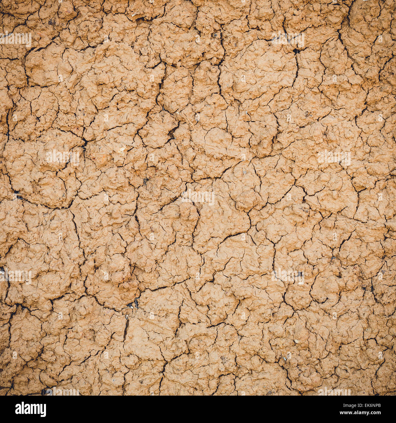 Texture di argilla umida sfondo a parete Foto Stock