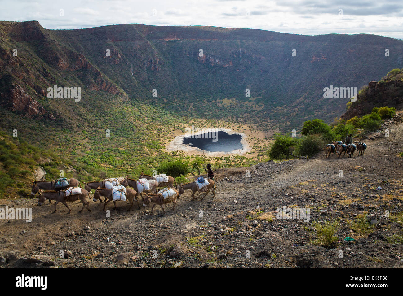I minatori di sale di riporto da una miniera del vecchio cratere del vulcano con gli asini Foto Stock