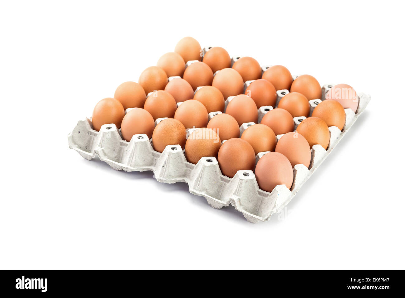Le uova nel vassoio della carta isolato su sfondo bianco Foto Stock