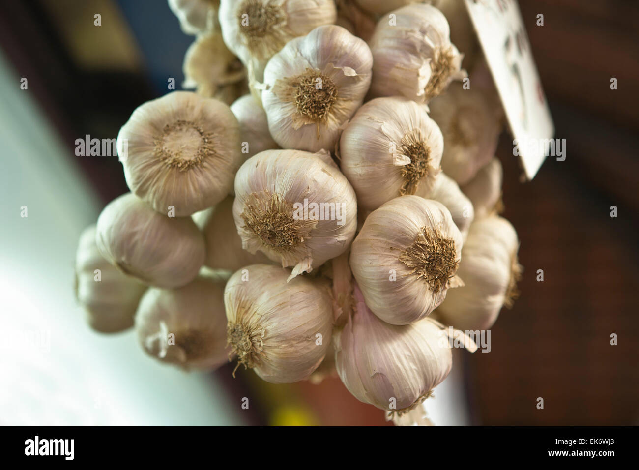 Stringhe di aglio sementi per la vendita a un lavoro per il vecchio mercato di malaga, Spagna Foto Stock