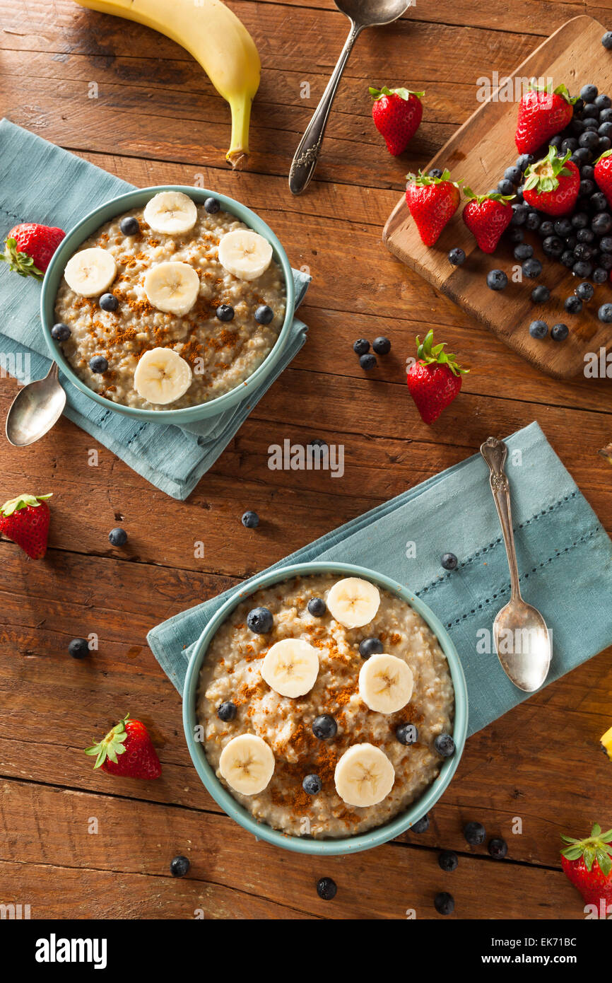 Le sane acciaio tagliati i fiocchi d'avena con frutta e cannella Foto Stock