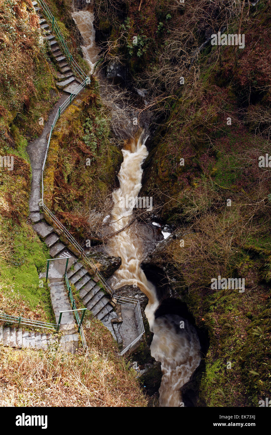 Ponte del Diavolo, Aberystwyth, Galles. Cascata di acqua nella conca. Torrent. Foto Stock