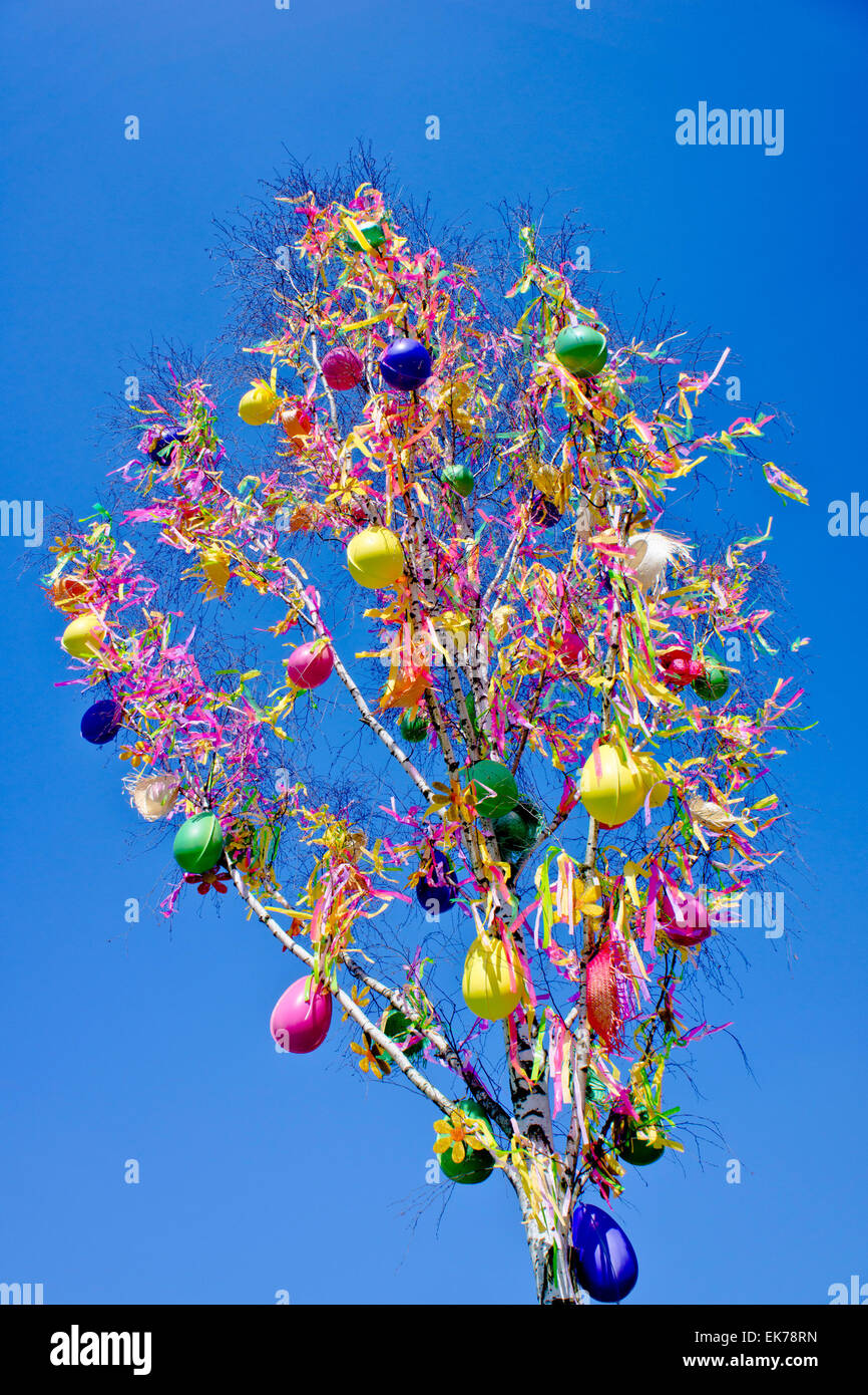 Pasqua albero decorato con uova colorate Foto Stock