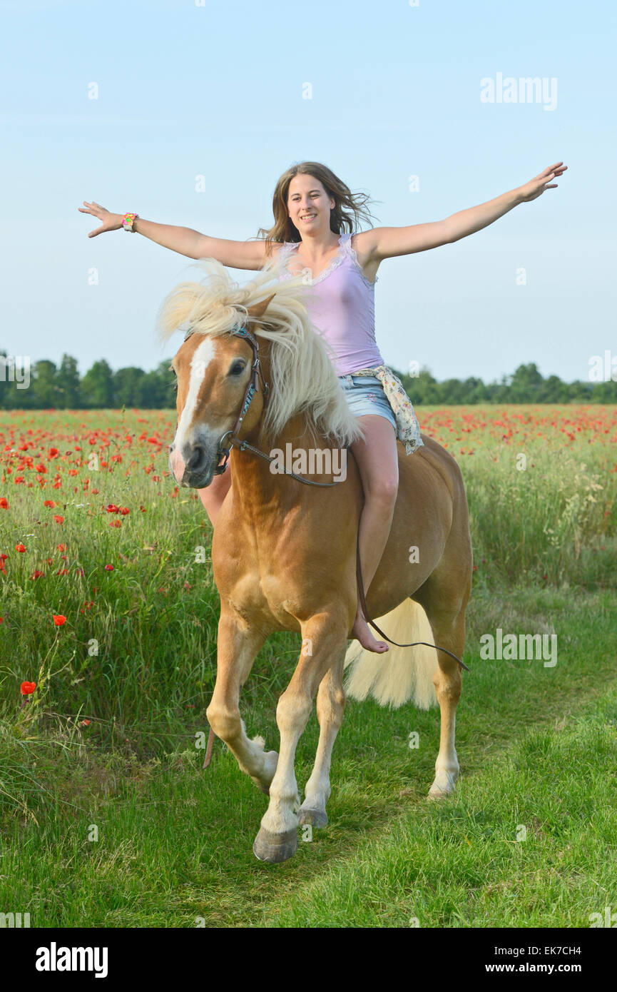 Giovane donna al galoppo bareback il suo cavallo Haflinger accanto alla fioritura campo di papavero Germania Foto Stock
