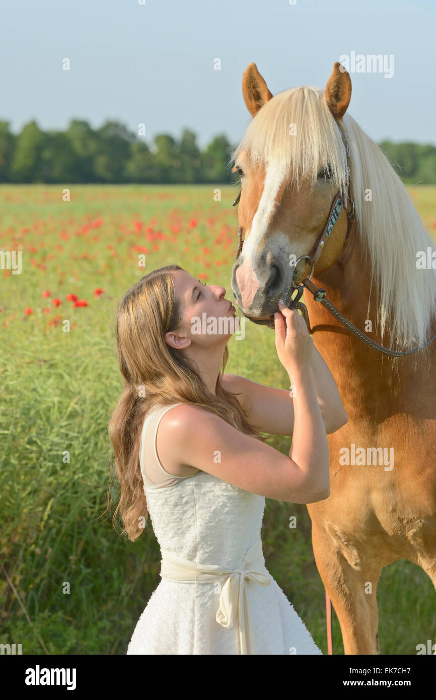 Giovane donna indossa abito bianco in piedi accanto al cavallo Haflinger conferendo kiss Germania Foto Stock