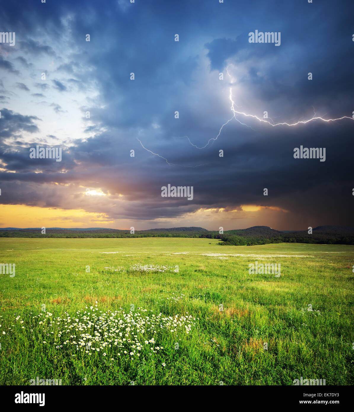 Prato in montagna. Pioggia e fulmini. La natura della composizione. Foto Stock