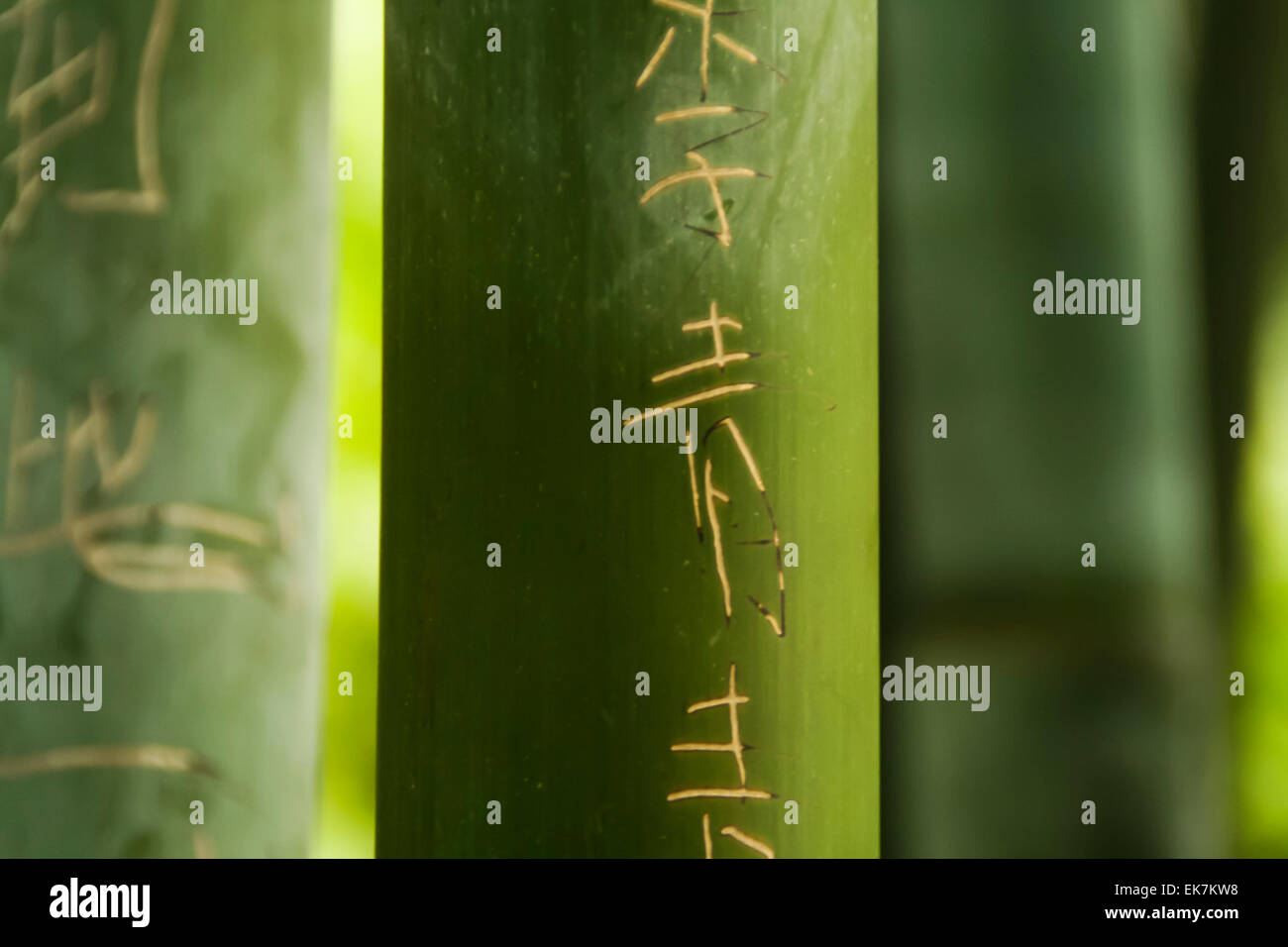 I simboli cinesi scolpiti in bamboo Foto Stock