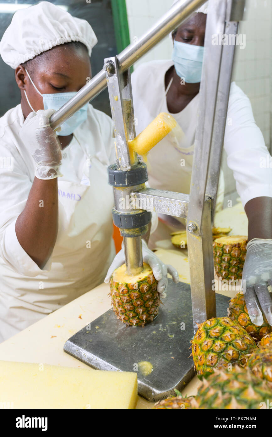 Il commercio equo e solidale ananas processore / produttore di Grand Bassam, Costa d'Avorio, l'Africa occidentale. Foto Stock