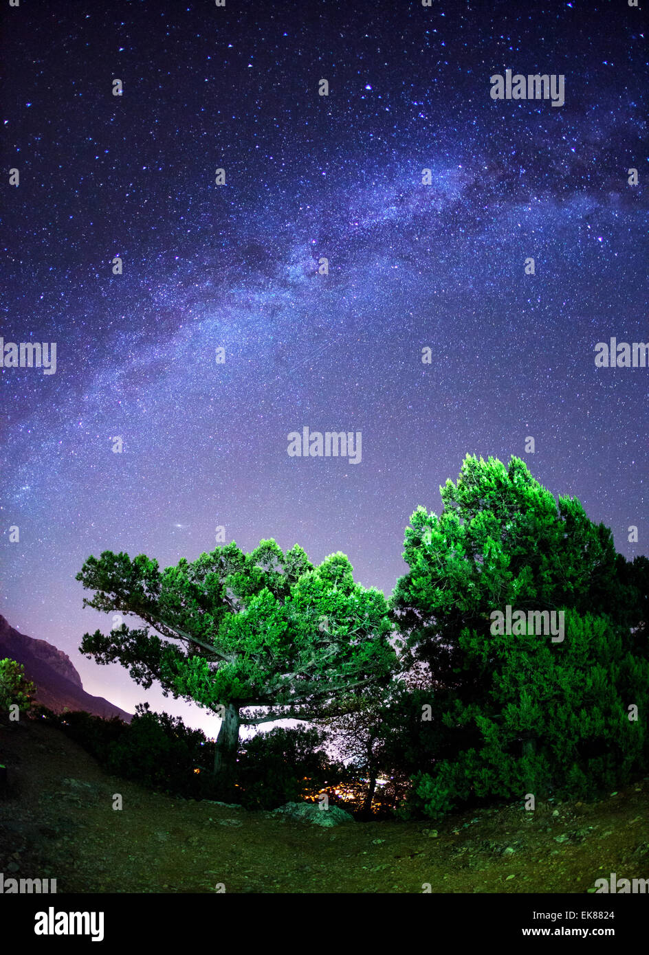 Via Lattea. Bella estate cielo notturno con stelle e il verde degli alberi. Montagne di Crimea Foto Stock