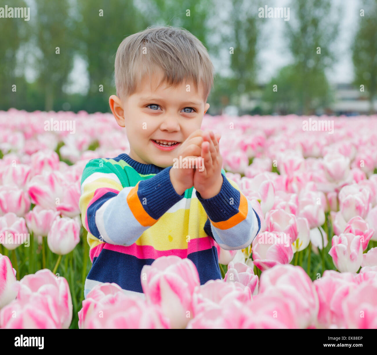 Ragazzo in campo di tulipani Foto Stock