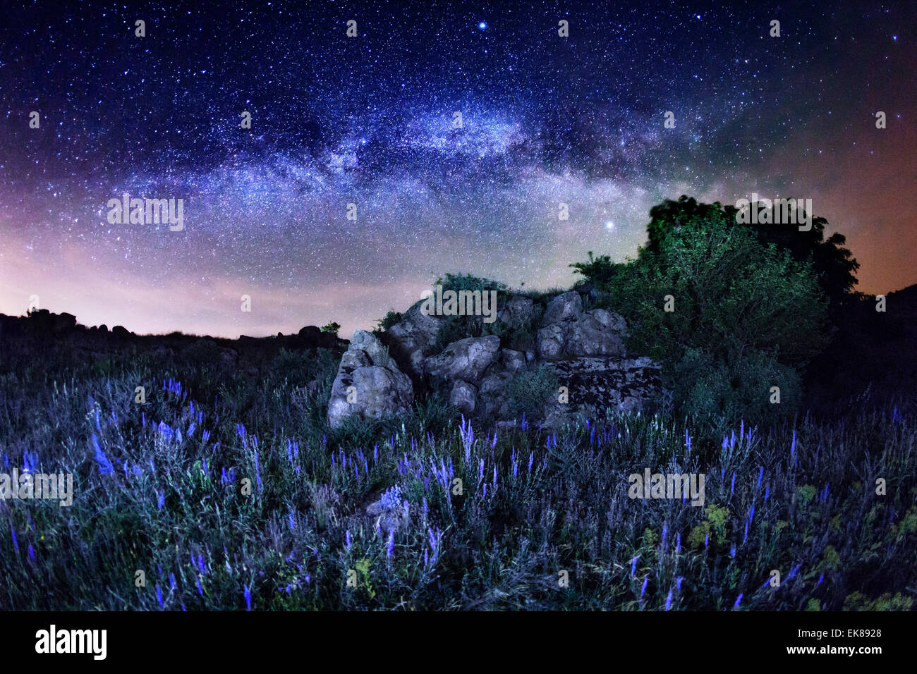 Via Lattea. Bella estate cielo notturno con stelle, rocce e fiori in Ucraina Foto Stock