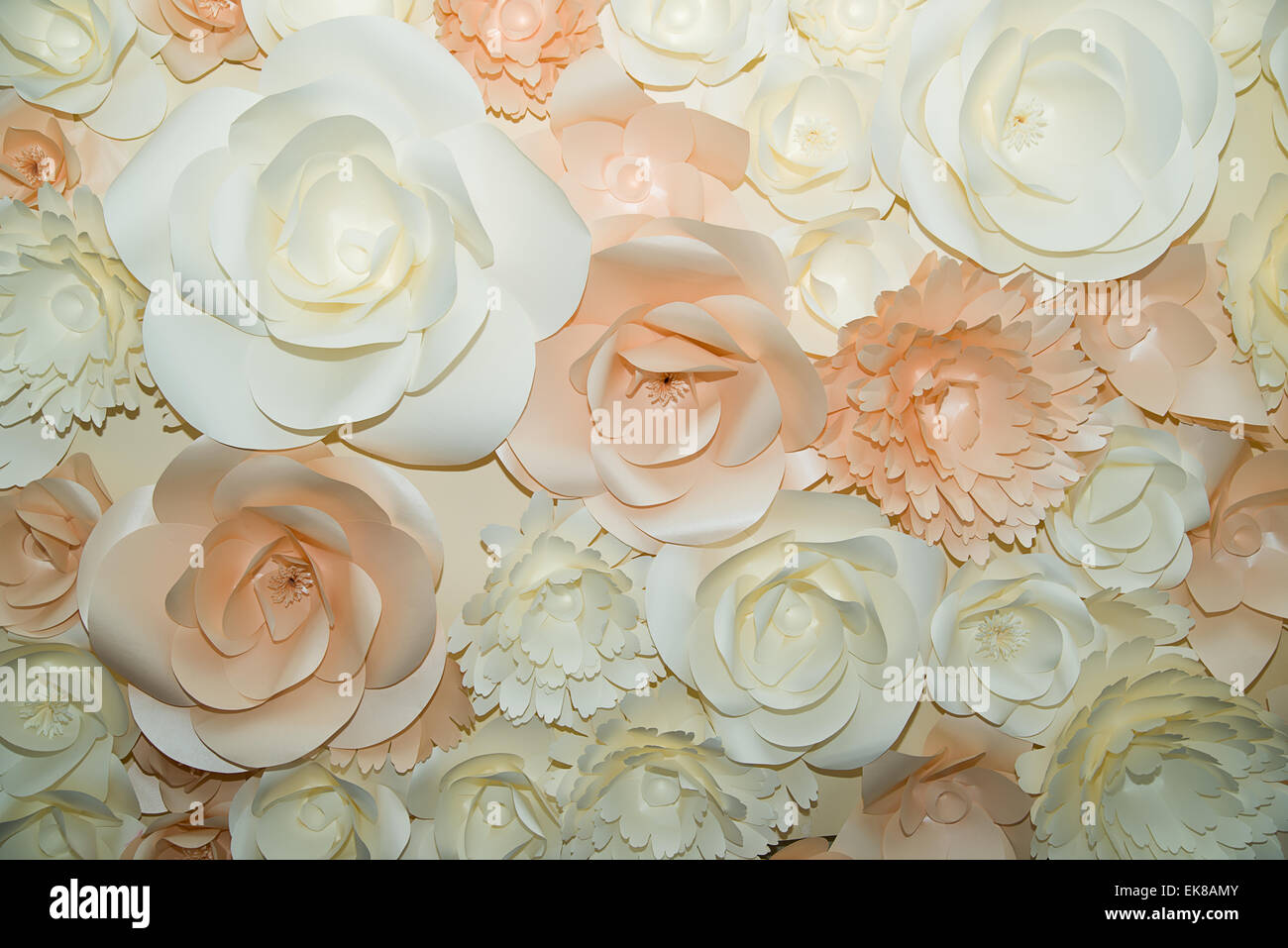 Molti splendidi fiori di carta di dimensioni differenti Foto Stock