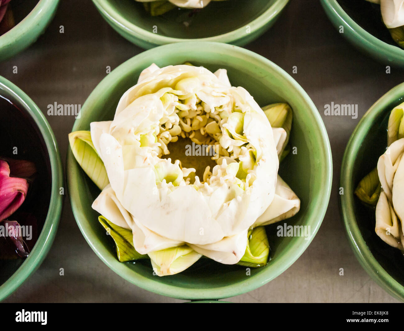 Tailandese tradizionale piegato bianco e rosa lotus nel verde di piccole ciotole in ceramica per rendere omaggio alla divinità Indù Foto Stock