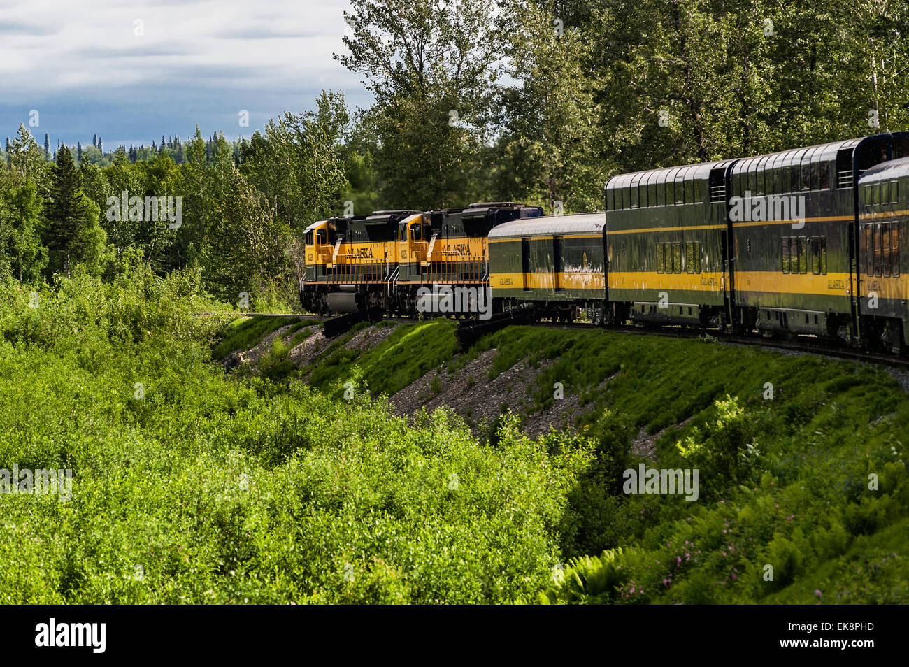 Alaska Railroad Scenic escursione in treno, Alaska, STATI UNITI D'AMERICA Foto Stock
