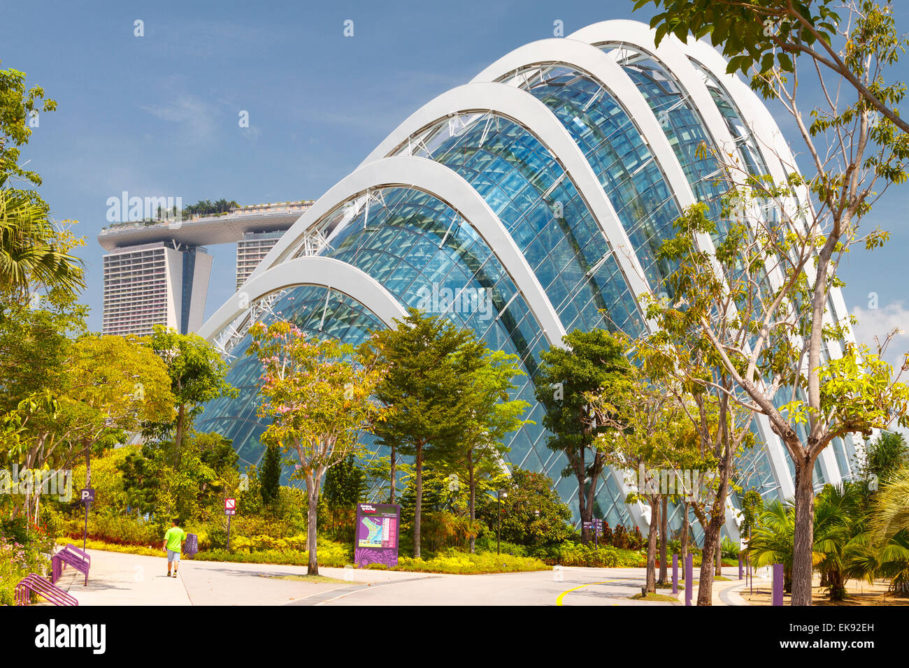 Cloud Forest conservatorio. Giardini della baia. Singapore, Asia. Foto Stock
