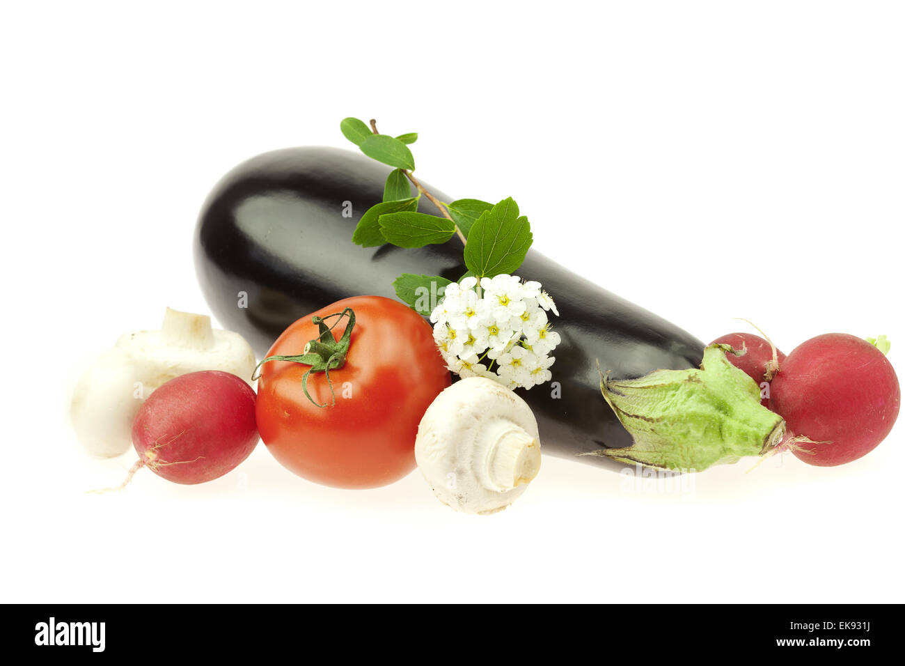 Il Ravanello di melanzana fiore di pomodoro e di funghi isolati su bianco Foto Stock