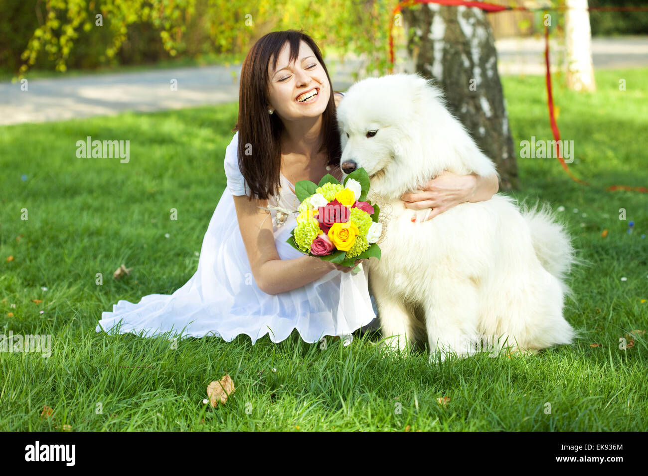 Sposa con cane Samoiedo seduto sull'erba Foto Stock