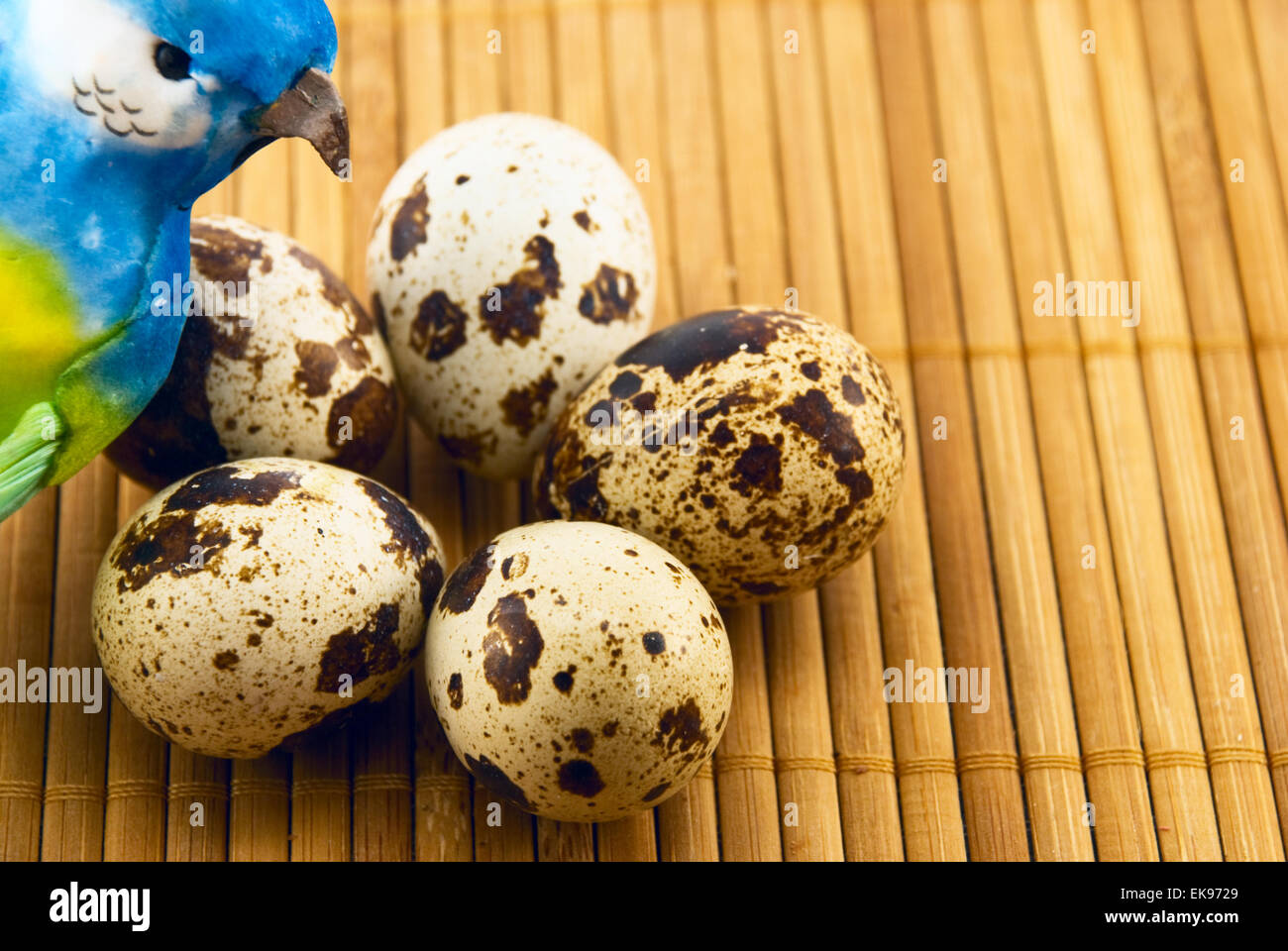 Bird e uova di quaglia su un tappetino di bambù Foto Stock