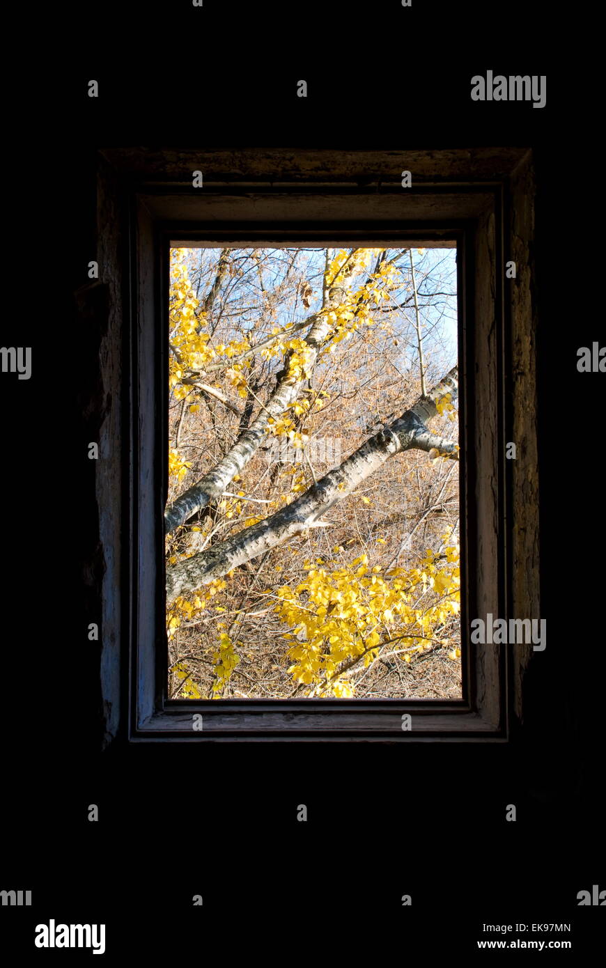 In autunno la finestra immagine Foto Stock