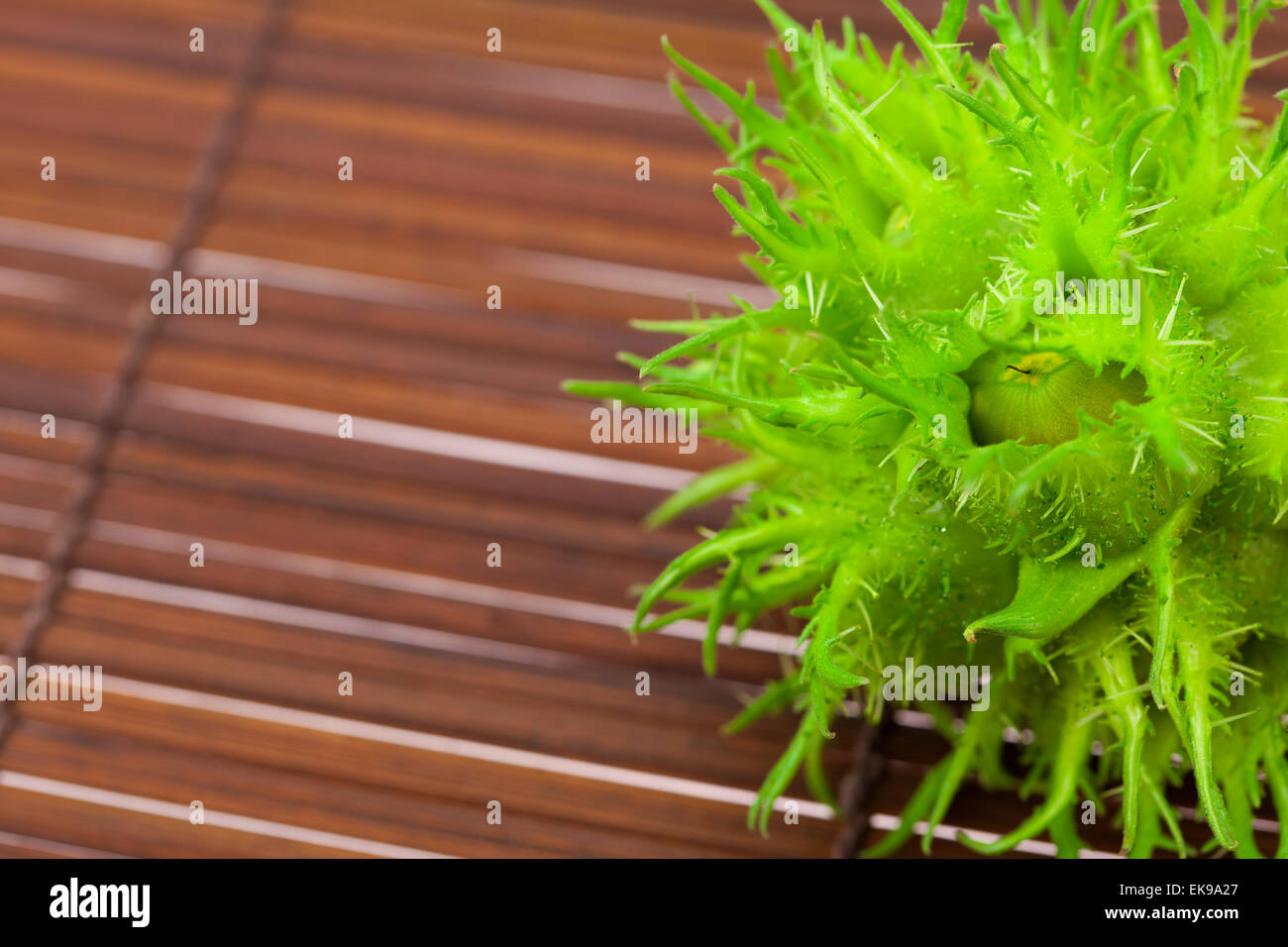 Le nocciole su una stuoia di bambù Foto Stock