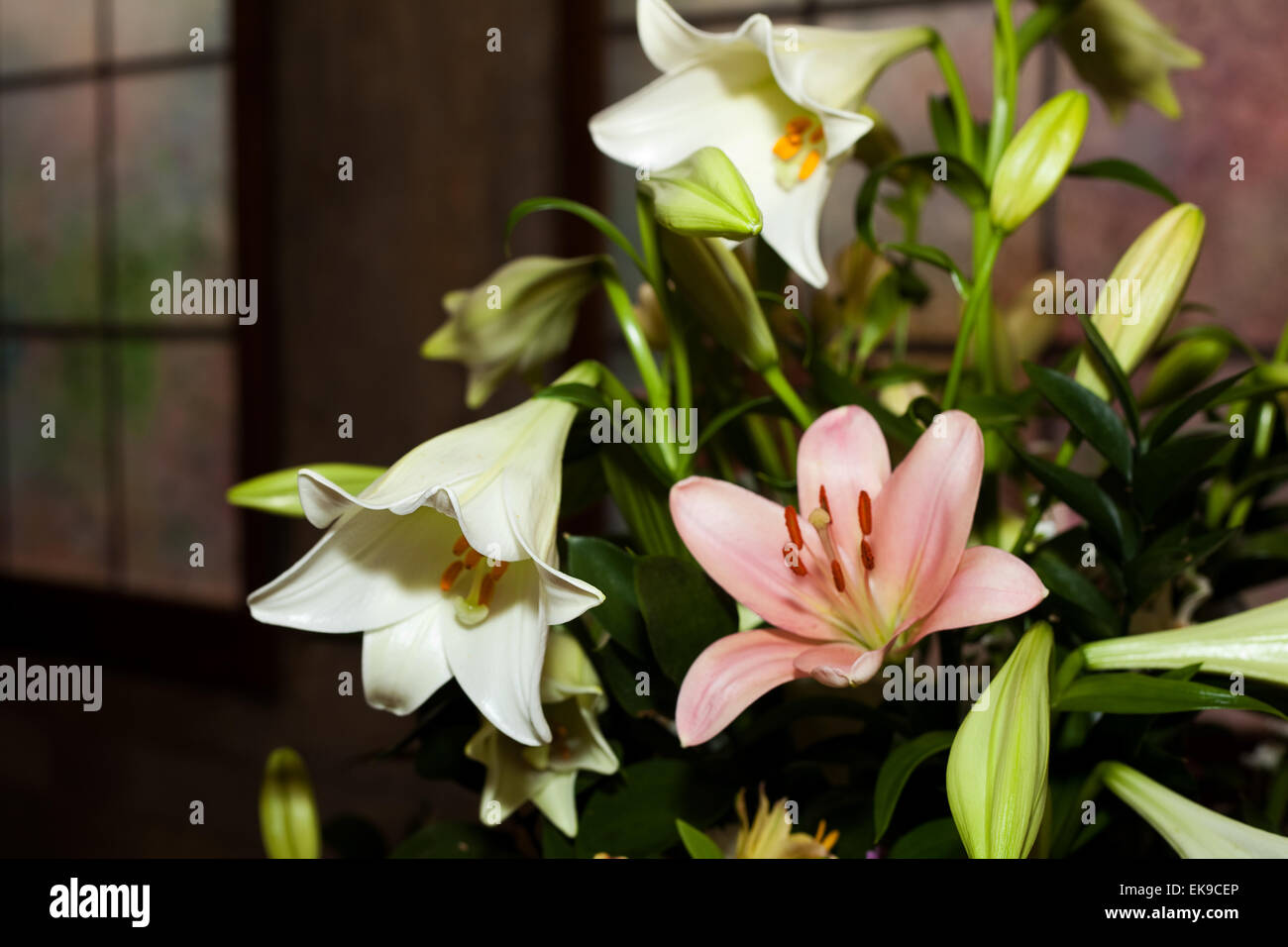 Bouquet di fiori in un vaso Foto Stock