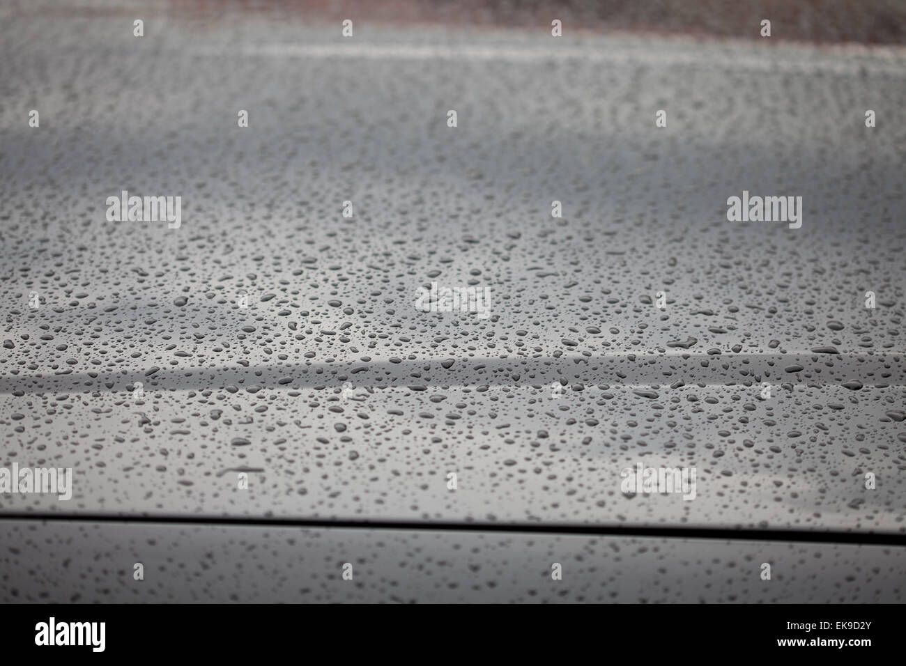 Le goccioline di acqua sul cofano di una automobile Foto Stock