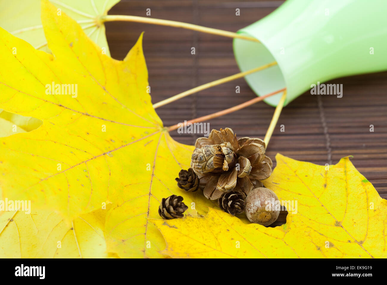 Giallo di foglie di acero e gemme in un vaso su una stuoia di bambù Foto Stock