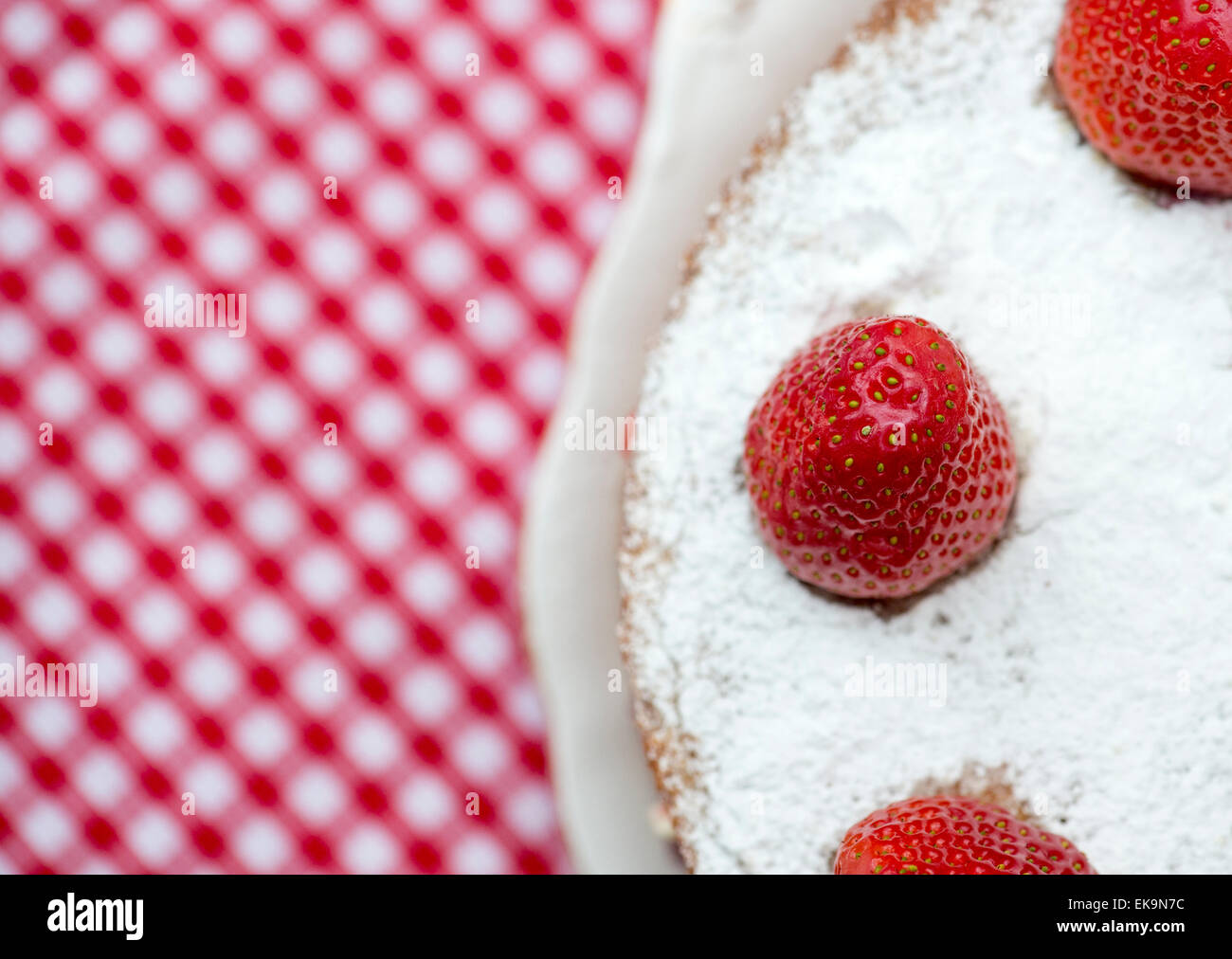 Victoria sponge cake crema con fragole fresche e marmellata Foto Stock