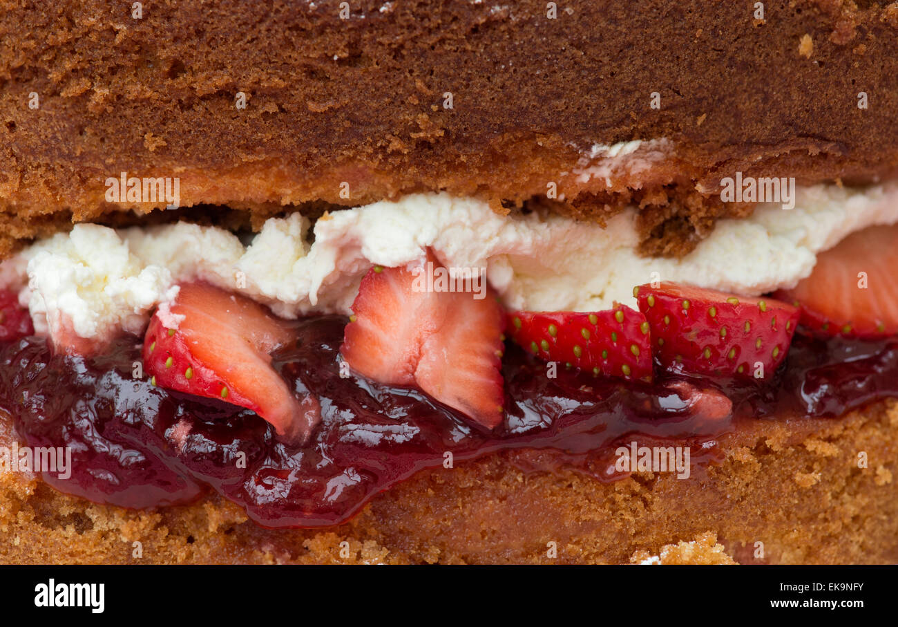 Victoria sponge cake crema con fragole fresche e marmellata Foto Stock