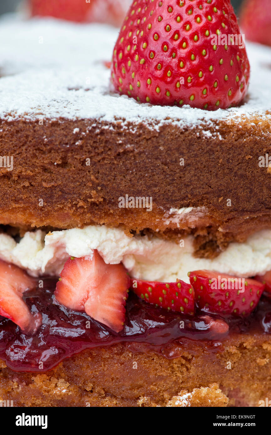 Victoria sponge cake crema con fragole fresche e marmellata Foto Stock
