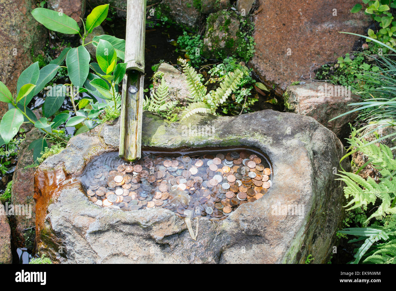 Monete in fontana. Museo Morikami e giardini. Florida Foto Stock