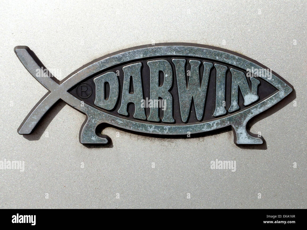 Darwin satirico segno basato sul pesce cristiana simbolo sul retro della vettura, Londra Foto Stock