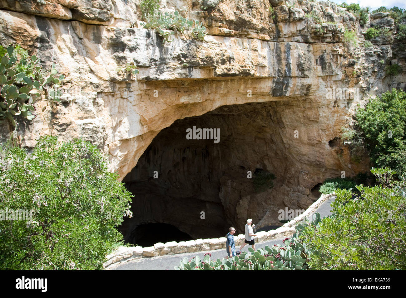 Escursione ai visitatori il naturale percorso di ingresso nella Carlsbad Caverns, Nuovo Messico, STATI UNITI D'AMERICA Foto Stock